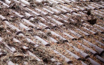 Beckside roof cleaning companies